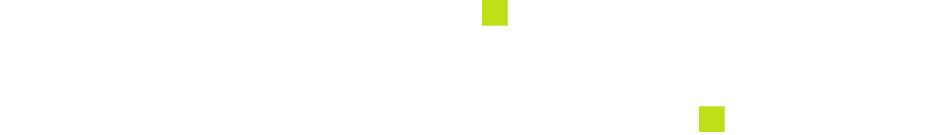 Логотип netunity